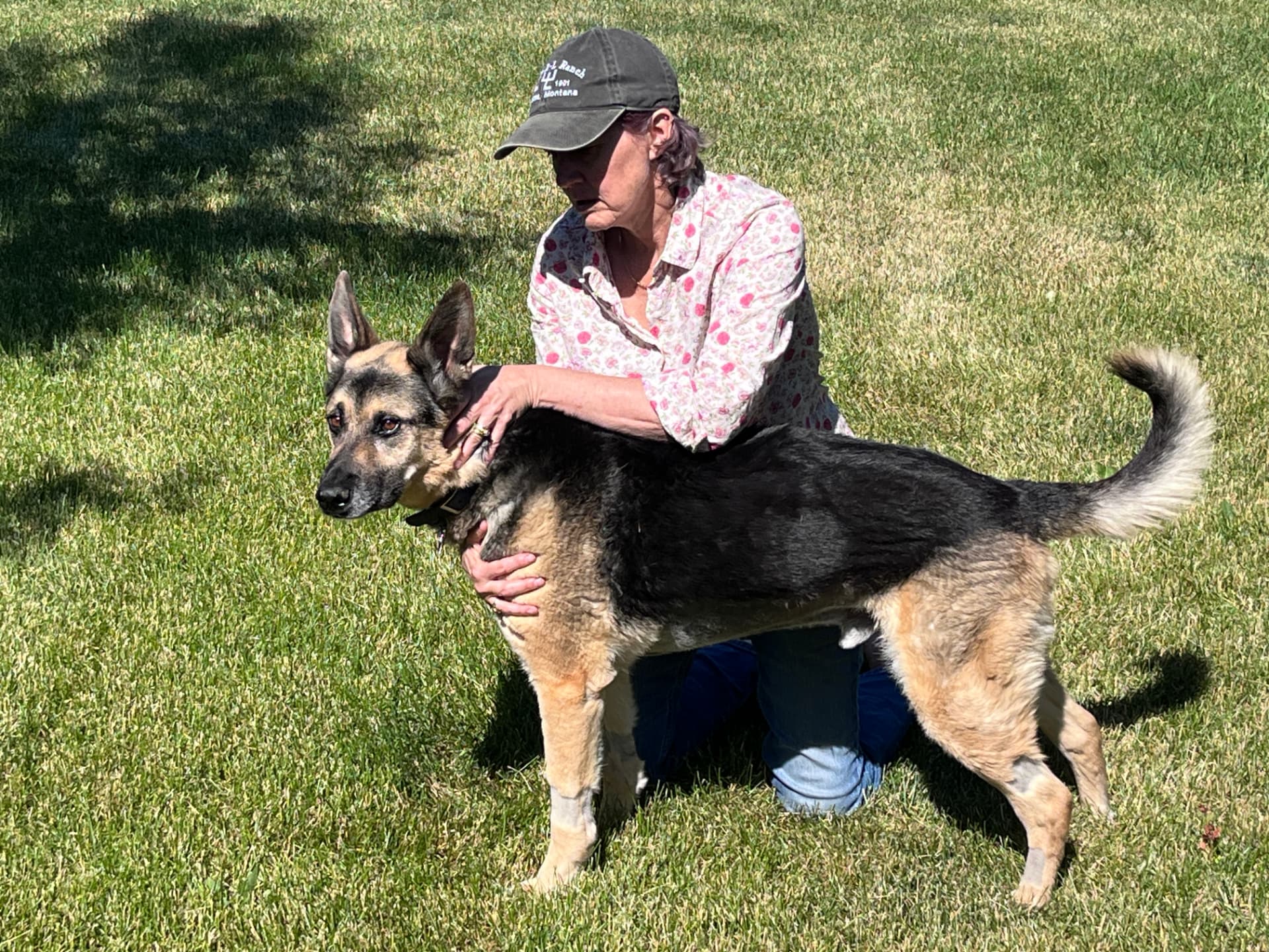 Allison working with a German Shepherd on a sunny lawn